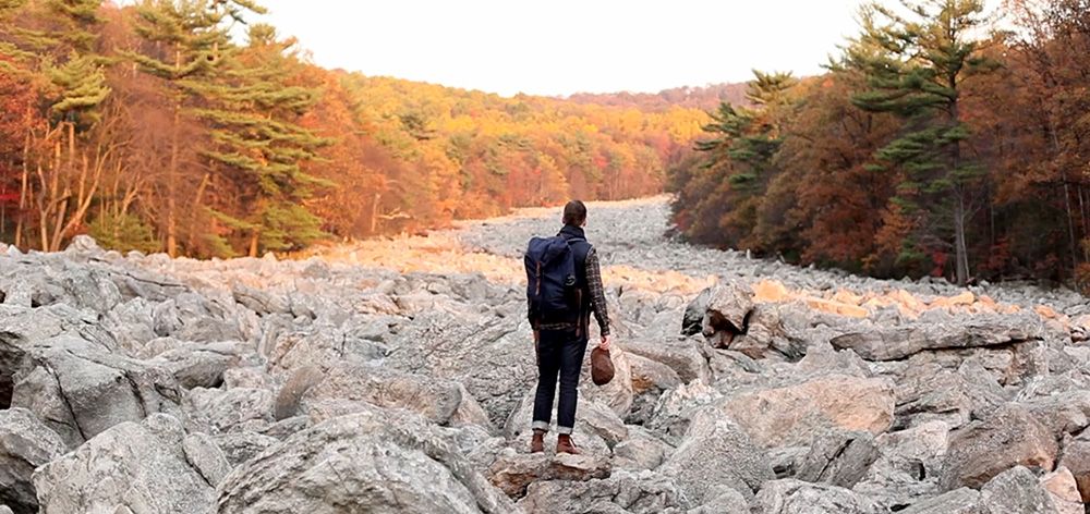 Kelly Smith