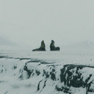Antarctica