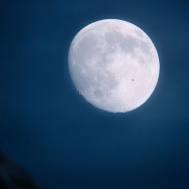 Over the Moon